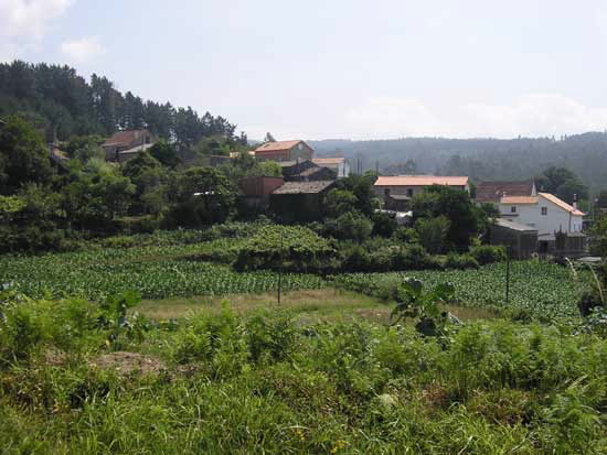 CASA RURAL DA ERMIDA