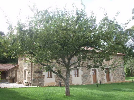 A CASA DA TORRE BRANCA