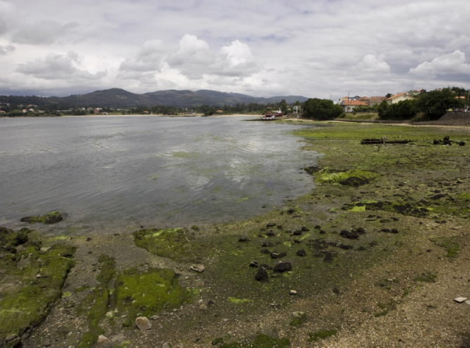 RINLO (CASTIÑEIROS)