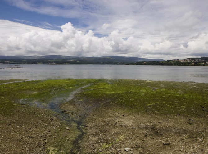 RINLO (CASTIÑEIROS)