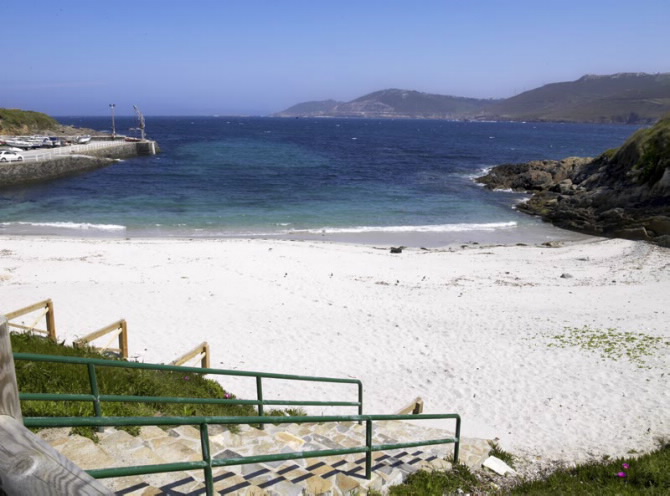 AREA GRANDE (SUEVOS)