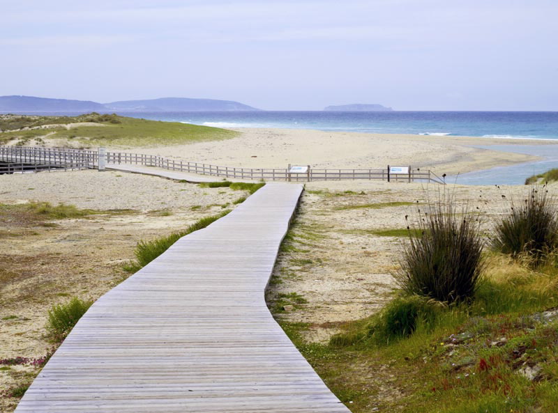 Resultado de imagen de saiÃ±as playa galicia