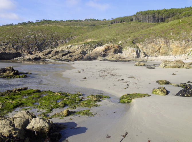 AREA GRANDE - AREA PEQUENA