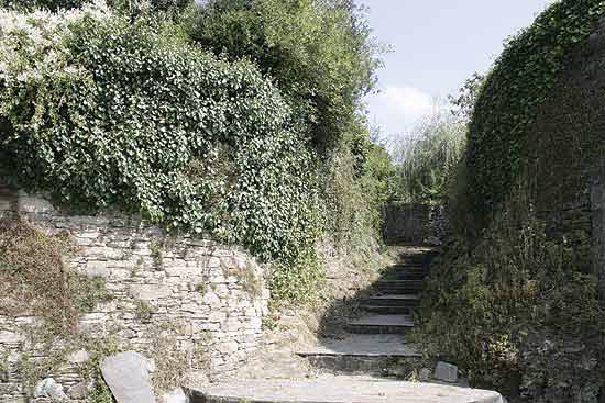 VILA DE CASTRO DE REI