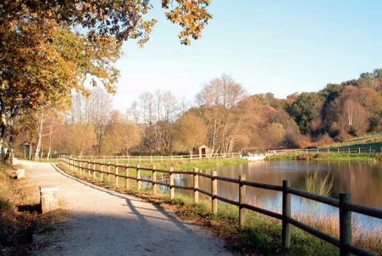 PASEO FLUVIAL DO RÍO PONTIÑAS