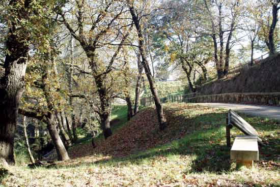 PASEO FLUVIAL DO RÍO PONTIÑAS
