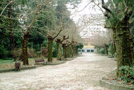 PARQUE E CARBALLEIRA DE CALDAS DE REIS