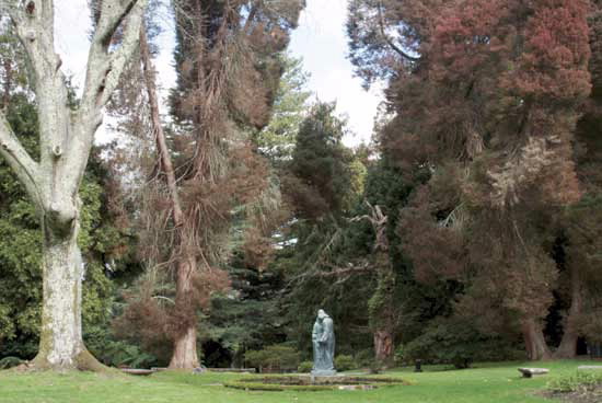 PARQUE E CASTELO DE SOUTOMAIOR