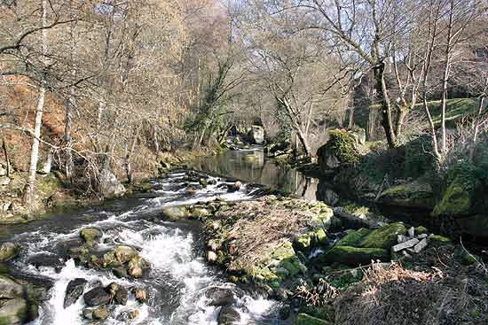 PARQUE MUNICIPAL DO CARBALLIÑO