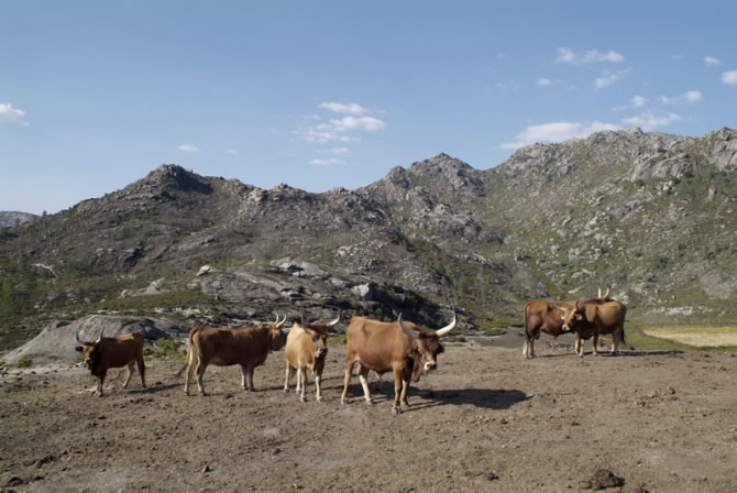 BAIXA LIMIA - SERRA DO XURÉS