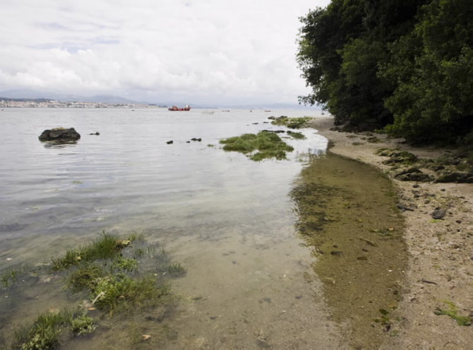 LÓBRIGO - RIBA DE MAR