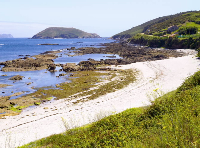 CANEXOL (ILLA DE ONS)