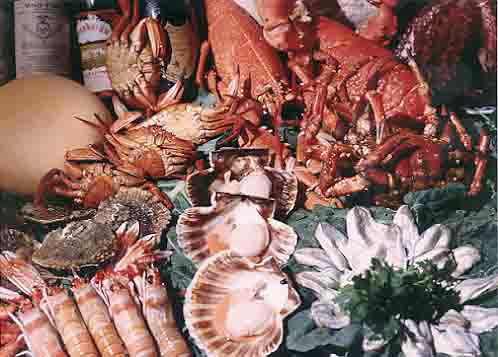 ADEGA A VIÑA DAS TRAVESAS