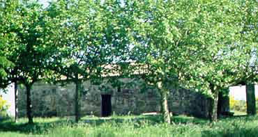 ERMIDA DE SAN ROQUE DE VILAGARCÍA