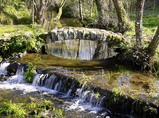 PONTE RÚA DOS FRANCOS