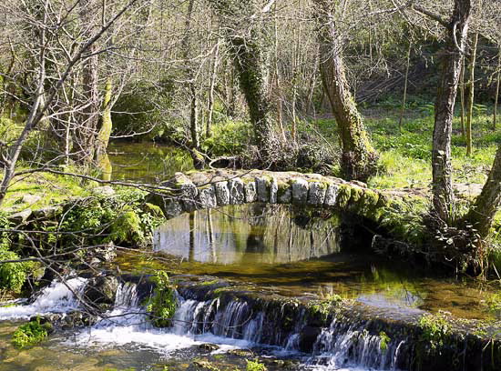 PONTE RÚA DOS FRANCOS