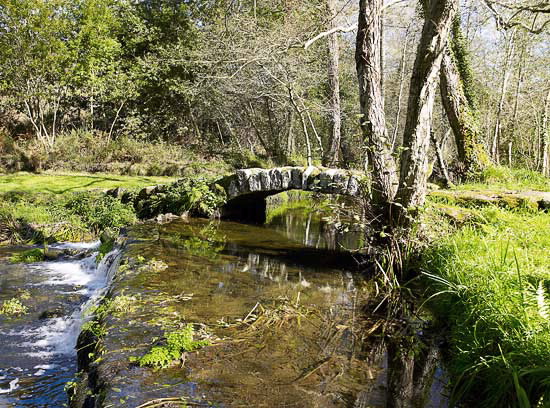 PONTE RÚA DOS FRANCOS