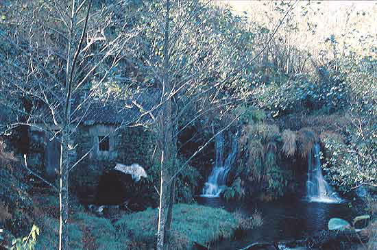 MUÍÑO DE QUINTILLÁN