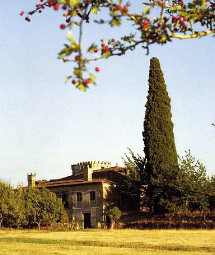 CASA GRANDE DE ROSENDE