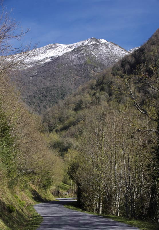 ANCARES-COUREL (OS ANCARES)