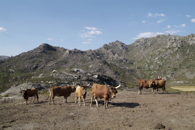 BAIXA LIMIA-SERRA DO XURÉS