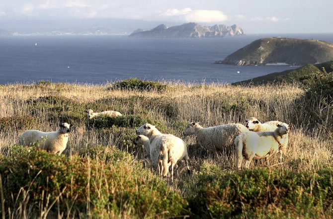 PARQUE NACIONAL MARÍTIMO TERRESTRE DAS ILLAS ATLÁNTICAS DE GALICIA
