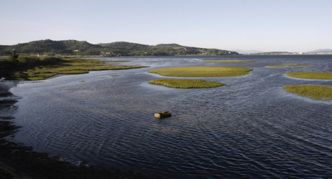 COMPLEXO ONS - O GROVE