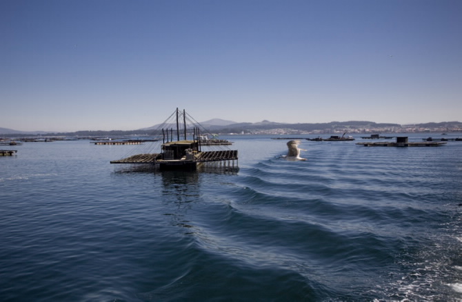 COMPLEXO ONS - O GROVE