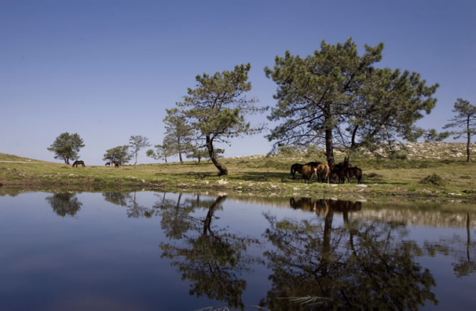 SERRA DA GROBA