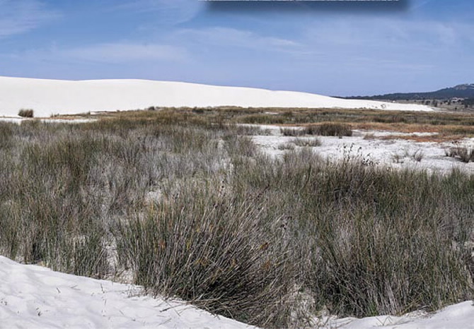 COMPLEXO HÚMIDO DE CORRUBEDO