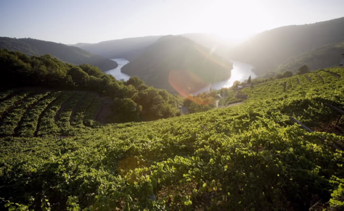 CANÓN DO SIL (A RIBEIRA SACRA)