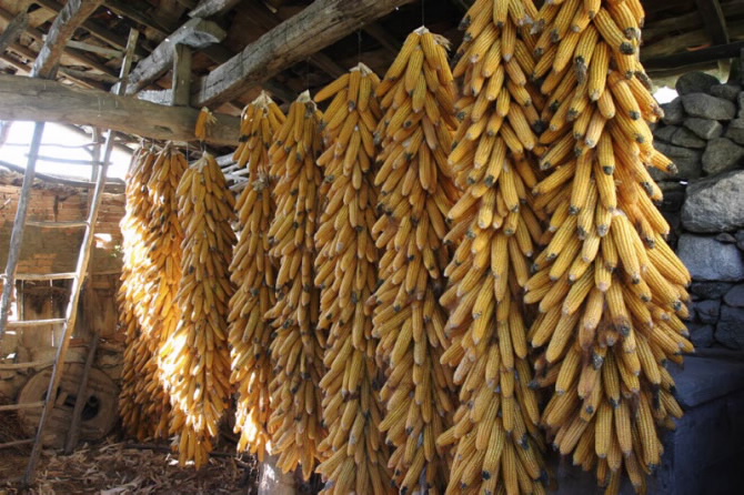CANÓN DO SIL (A RIBEIRA SACRA)