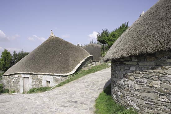 PALLOZAS DE O CEBREIRO
