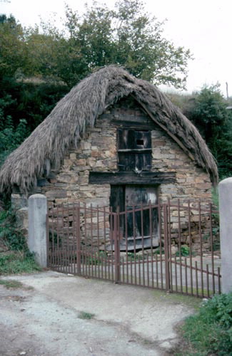 PALLOZA DA PROBRA DE BURÓN