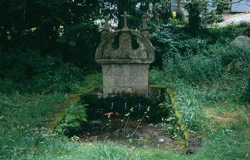 FONTE DE SAN ROQUE DE FISTEUS