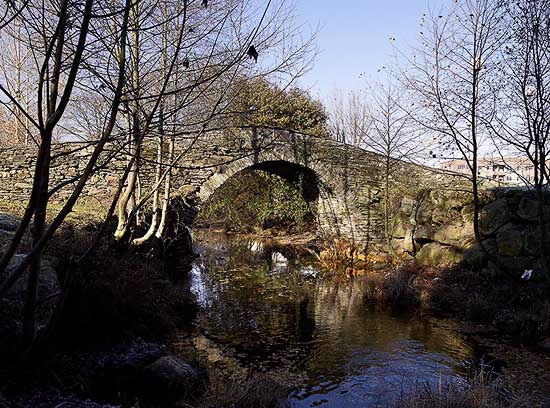 PONTE DO CHAMOSELO