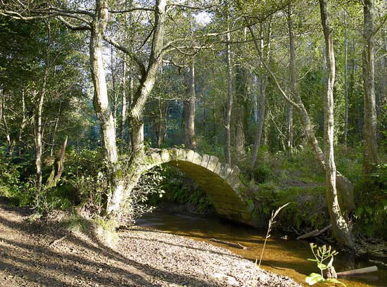 PONTE VELLA DE XUÑO