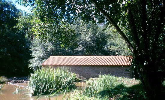 MUÍÑO DA ÁREA RECREATIVA RÍO MARUZO