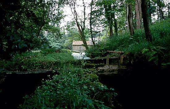 MOLINO DE RICARDO FRAGUELA