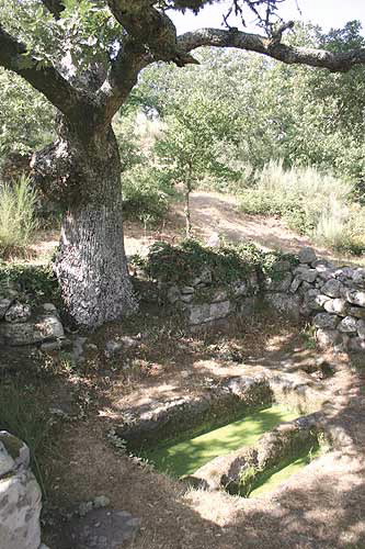 SANTA MARIÑA DE AUGAS SANTAS