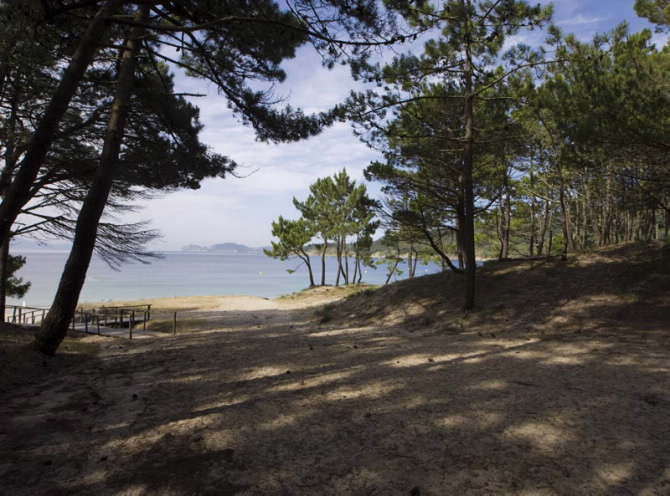 BARRA (ESPACIO NATURAL CABO HOME)