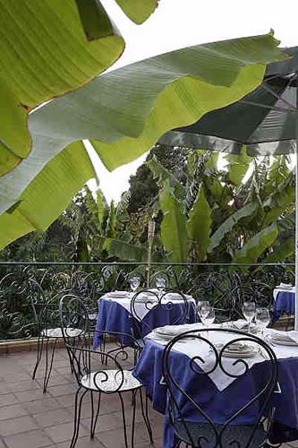 CABALLEROS HIJOS DALGO DE LINARES