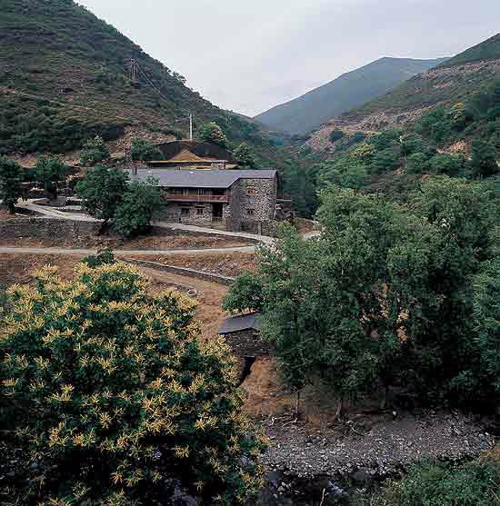 FERRERÍA DE RUGANDO