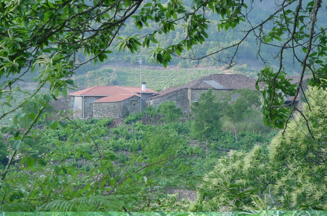 O LAR DE RABACALLOS B&B