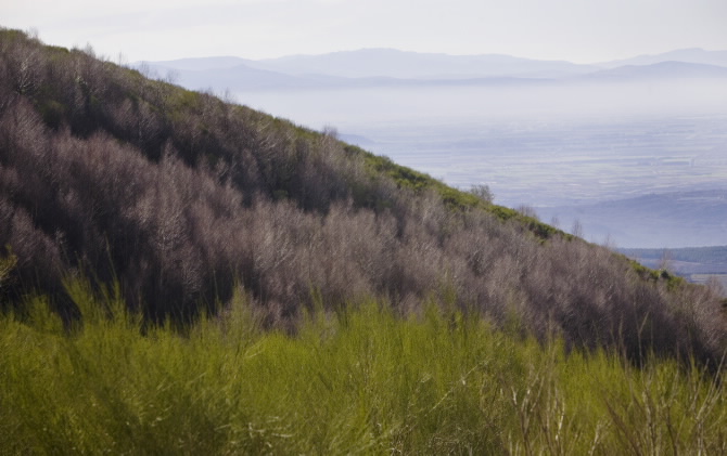 BIDUEIRAL DE MONTEDERRAMO
