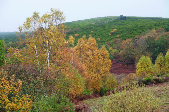 BIDUEIRAL DE MONTEDERRAMO