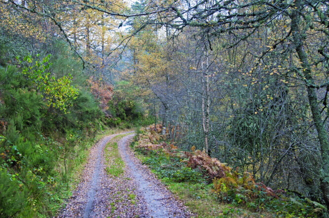 BIDUEIRAL DE MONTEDERRAMO