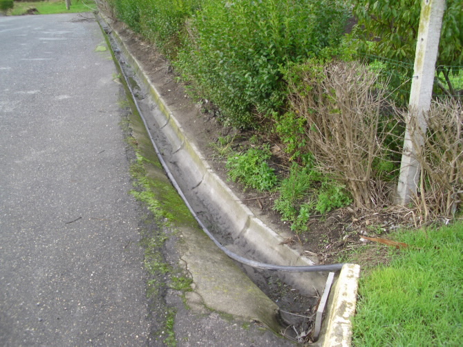 ÁREA  E. S. REPSOL CERVO