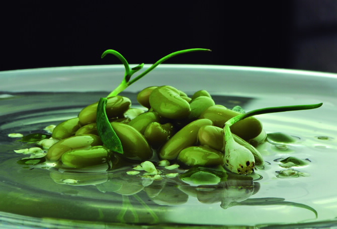 ABRASADOR GAIA TABERNA MEDIEVAL