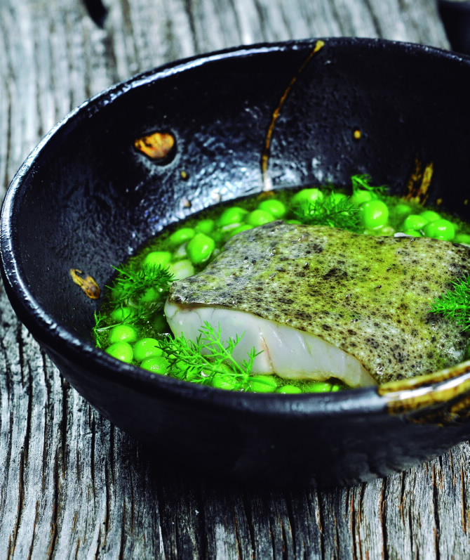 ABRASADOR GAIA TABERNA MEDIEVAL